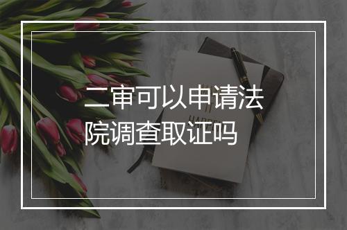 二审可以申请法院调查取证吗