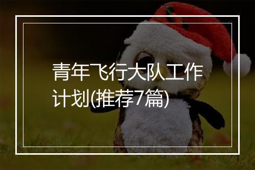 青年飞行大队工作计划(推荐7篇)