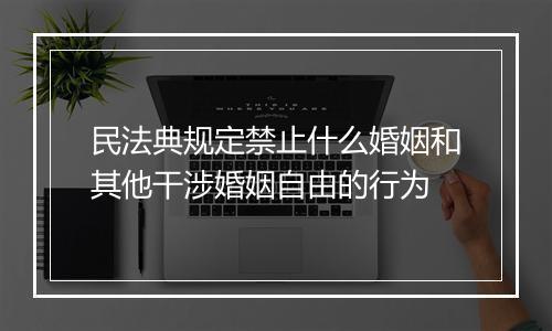 民法典规定禁止什么婚姻和其他干涉婚姻自由的行为
