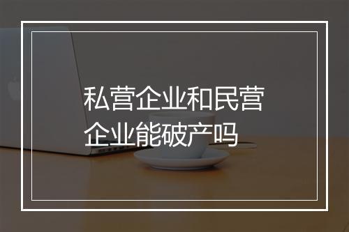 私营企业和民营企业能破产吗