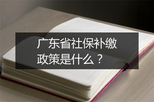 广东省社保补缴政策是什么?
