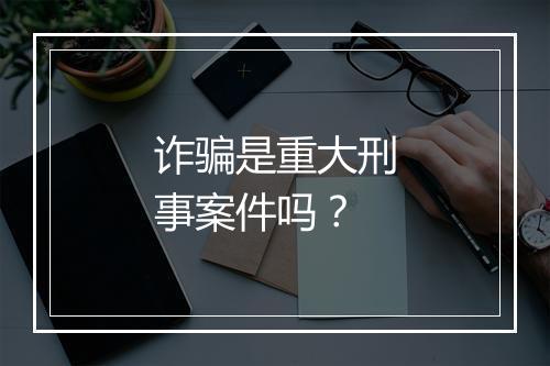 诈骗是重大刑事案件吗?