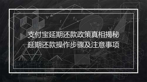 支付宝延期还款政策真相揭秘延期还款操作步骤及注意事项