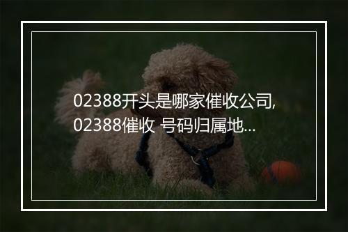 02388开头是哪家催收公司,02388催收 号码归属地查询