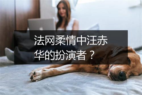 法网柔情中汪赤华的扮演者?