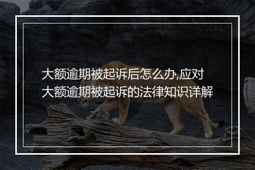 大额逾期被起诉后怎么办,应对大额逾期被起诉的法律知识详解