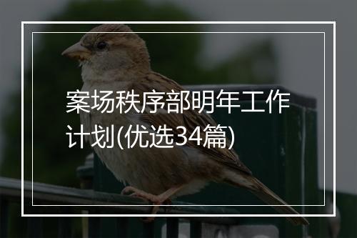 案场秩序部明年工作计划(优选34篇)