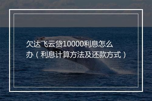 欠达飞云贷10000利息怎么办(利息计算方法及还款方式)