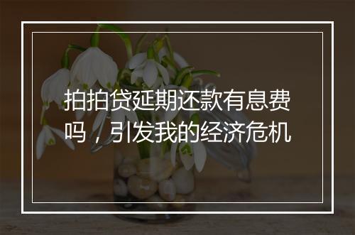 拍拍贷延期还款有息费吗,引发我的经济危机