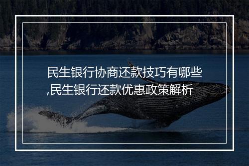 民生银行协商还款技巧有哪些,民生银行还款优惠政策解析