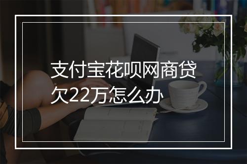 支付宝花呗网商贷欠22万怎么办
