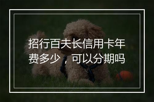 招行百夫长信用卡年费多少,可以分期吗