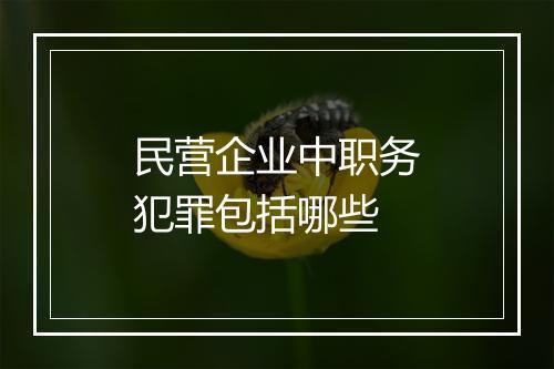 民营企业中职务犯罪包括哪些