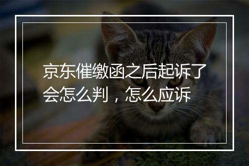 京东催缴函之后起诉了会怎么判,怎么应诉