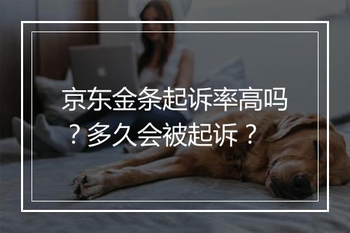 京东金条起诉率高吗?多久会被起诉?