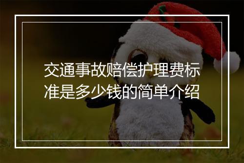 交通事故赔偿护理费标准是多少钱的简单介绍