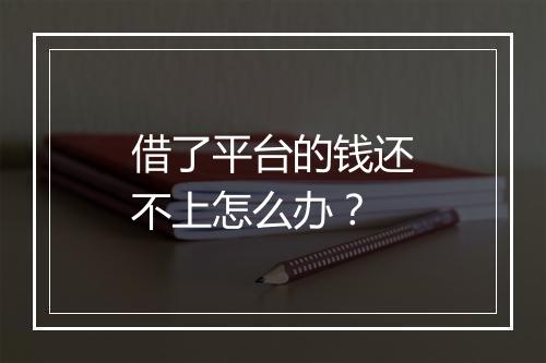 借了平台的钱还不上怎么办?