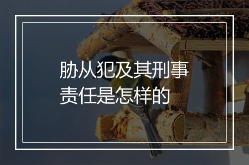 胁从犯及其刑事责任是怎样的