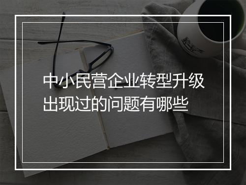 中小民营企业转型升级出现过的问题有哪些