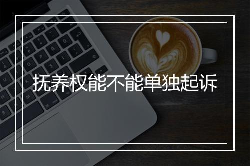 抚养权能不能单独起诉