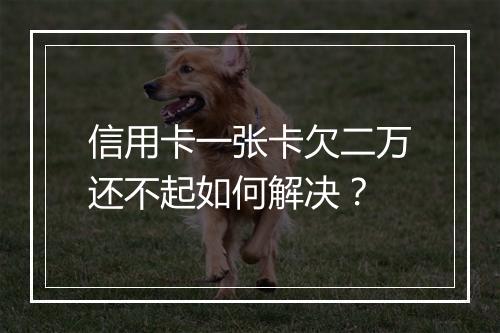 信用卡一张卡欠二万还不起如何解决?