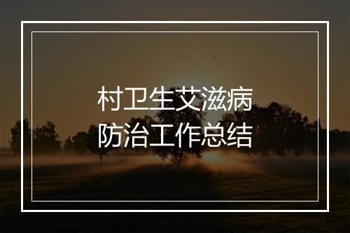 村卫生艾滋病防治工作总结
