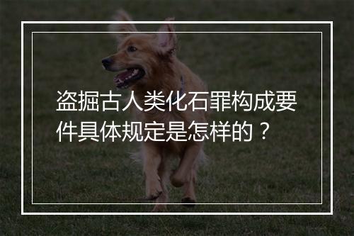 盗掘古人类化石罪构成要件具体规定是怎样的?