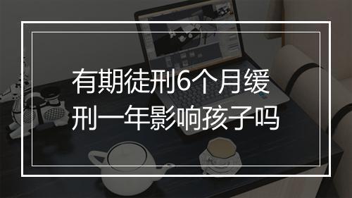 有期徒刑6个月缓刑一年影响孩子吗
