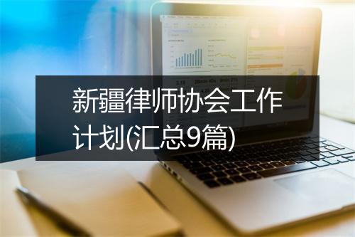 新疆律师协会工作计划(汇总9篇)