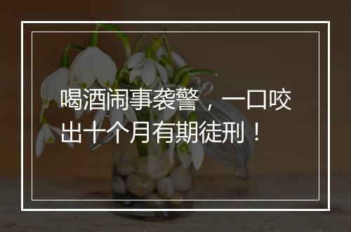 喝酒闹事袭警,一口咬出十个月有期徒刑!