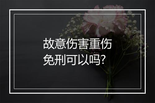 故意伤害重伤免刑可以吗?