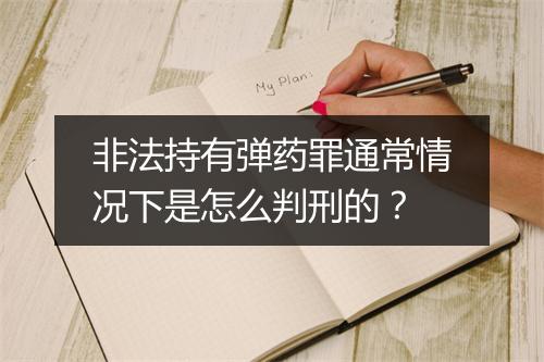 非法持有弹药罪通常情况下是怎么判刑的?