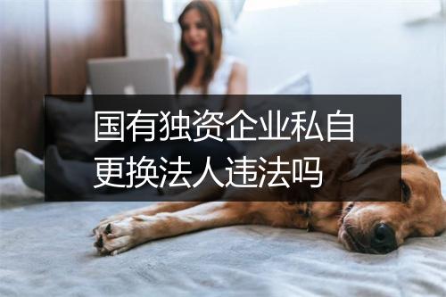 国有独资企业私自更换法人违法吗