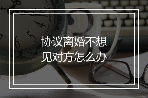 协议离婚不想见对方怎么办