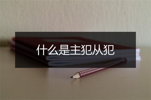 什么是主犯从犯