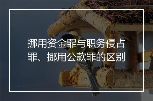 挪用资金罪与职务侵占罪、挪用公款罪的区别
