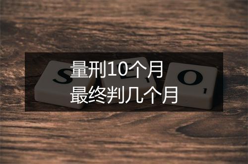 量刑10个月最终判几个月