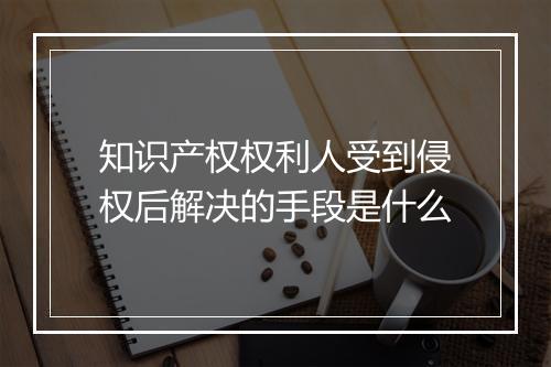 知识产权权利人受到侵权后解决的手段是什么
