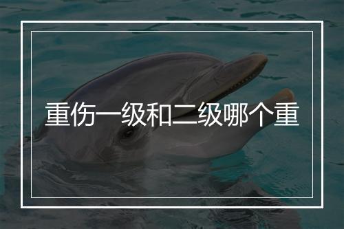 重伤一级和二级哪个重