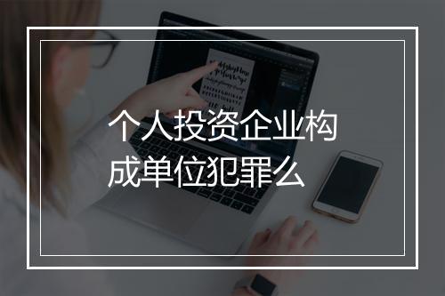 个人投资企业构成单位犯罪么