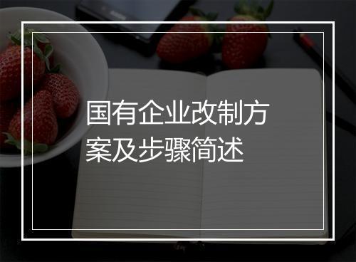 国有企业改制方案及步骤简述