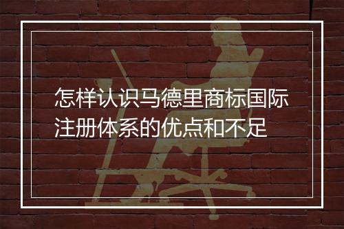 怎样认识马德里商标国际注册体系的优点和不足