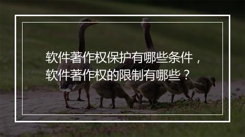 软件著作权保护有哪些条件,软件著作权的限制有哪些?