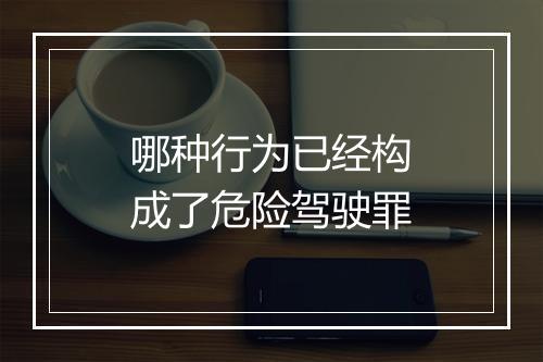 哪种行为已经构成了危险驾驶罪