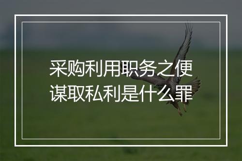 采购利用职务之便谋取私利是什么罪