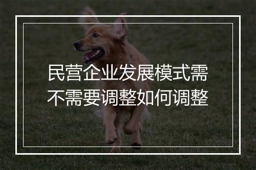 民营企业发展模式需不需要调整如何调整