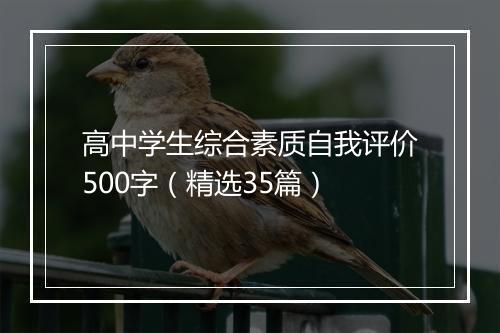 高中学生综合素质自我评价500字(精选35篇)