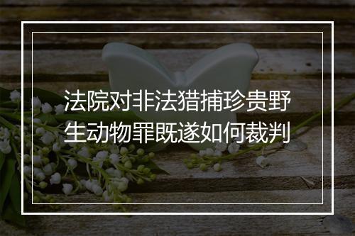法院对非法猎捕珍贵野生动物罪既遂如何裁判