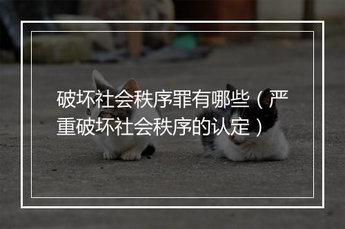 破坏社会秩序罪有哪些(严重破坏社会秩序的认定)
