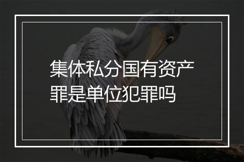 集体私分国有资产罪是单位犯罪吗